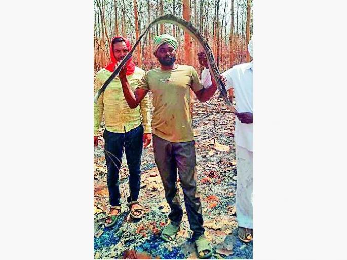 An object from space was found again in Sindewahi | सिंदेवाहीत आणखी आढळली अवकाशातून पडलेली वस्तू An object from space was found again in Sindewahi | सिंदेवाहीत आणखी आढळली अवकाशातून पडलेली वस्तू