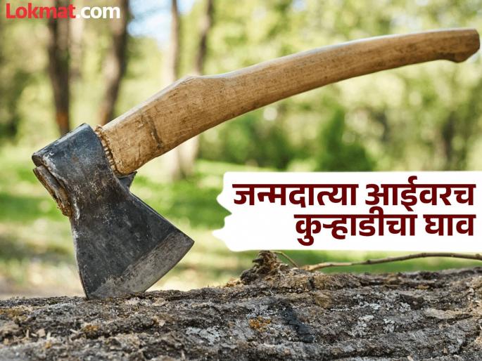 A boy turned devil from a farming dispute; The birth mother was killed by an axe, the body was thrown into a pit | शेतीच्या वादातून मुलगा बनला सैतान; जन्मदात्या आईवर कुऱ्हाडीचे घाव, मृतदेह टाकला हौदात A boy turned devil from a farming dispute; The birth mother was killed by an axe, the body was thrown into a pit | शेतीच्या वादातून मुलगा बनला सैतान; जन्मदात्या आईवर कुऱ्हाडीचे घाव, मृतदेह टाकला हौदात
