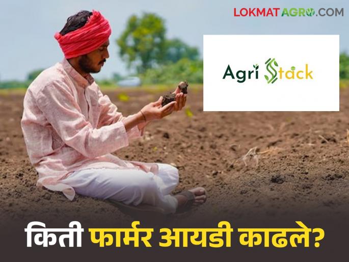 Latest News Farmer Id 69 percent of farmers in Nashik district have issued Farmer ID | नाशिक जिल्ह्यात 69 टक्के शेतकऱ्यांनीच काढले फार्मर आयडी; सुरगाणा अव्वल