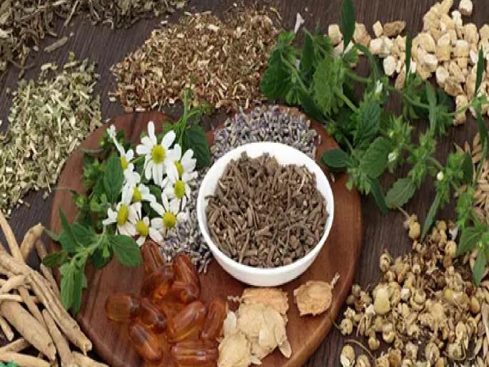 Types of fraud in the name of Ayurvedic treatment, fake doctor and agents cheated the woman in Miraj | Sangli: आयुर्वेदिक उपचाराच्या नावाखाली फसवणुकीचे प्रकार, मिरजेत भोंदू वैद्य व एजंटांचा महिलेला गंडा Types of fraud in the name of Ayurvedic treatment, fake doctor and agents cheated the woman in Miraj | Sangli: आयुर्वेदिक उपचाराच्या नावाखाली फसवणुकीचे प्रकार, मिरजेत भोंदू वैद्य व एजंटांचा महिलेला गंडा