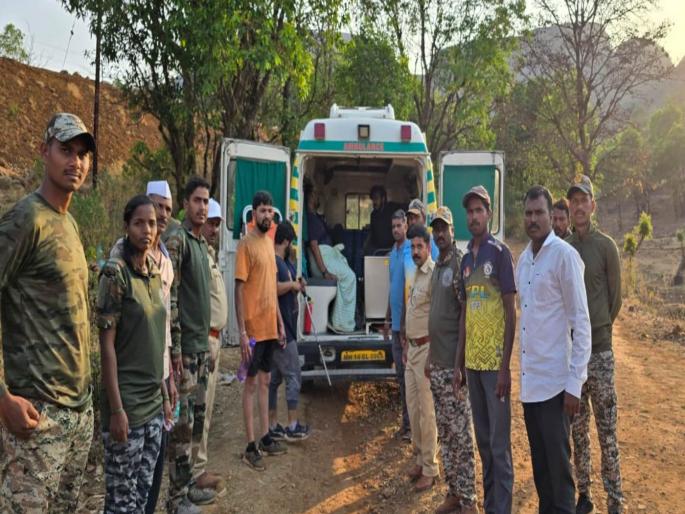 incident at bhairavagad tourists set fire to firewood and were attacked by bees in nashik | भैरवगडावरील घटना, पर्यटकांनी पाळापाचोळा पेटविला अन् मधमाशांनी हल्ला चढविला incident at bhairavagad tourists set fire to firewood and were attacked by bees in nashik | भैरवगडावरील घटना, पर्यटकांनी पाळापाचोळा पेटविला अन् मधमाशांनी हल्ला चढविला