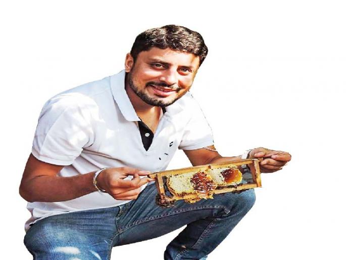 B-Man likes bees, then quit the job and working for them! | बी मॅन, मधमाश्या आवडतात ना, मग नोकरी सोड आणि त्यांच्यासाठी काम कर !