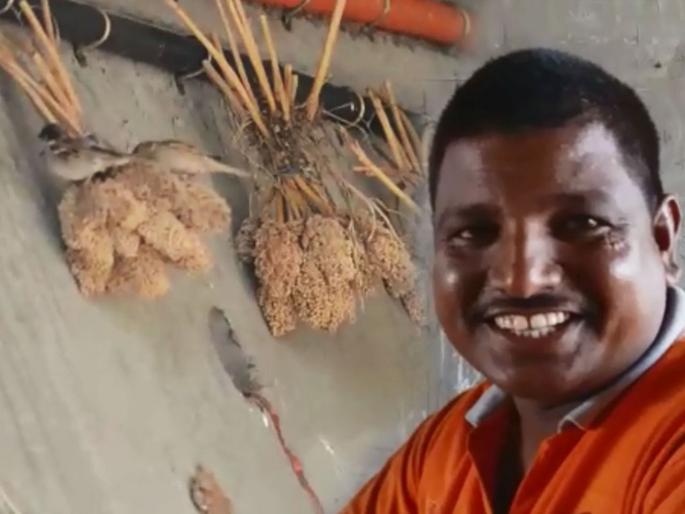 Keeping 500 kg of sorghum grains for sparrows, farmer of solapur halgur | 'उड्डाण पुलाखाली' चिमण्यांसाठी 500 किलो ज्वारीचा चारा बांधतोय 'दिलदार शेतकरी'