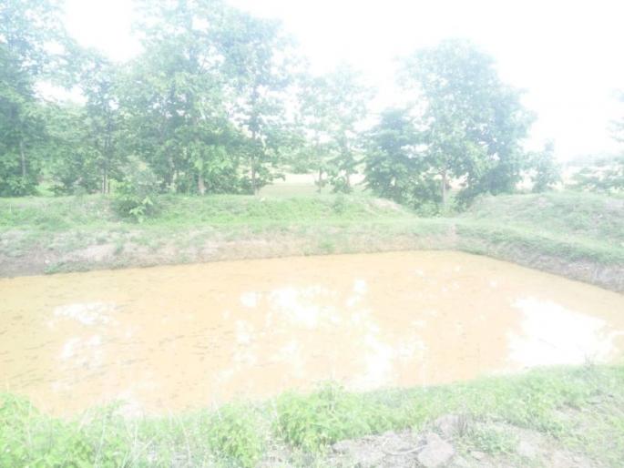 Two girls drown in farm in Nagpur district | नागपूर जिल्ह्यात शेततळ्यात बुडून दोन मुलींचा मृत्यू