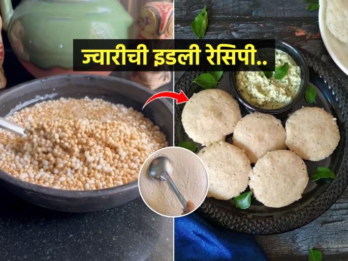 Easy and healthy jowar Idli Recipe : See if you eat jowar idli! Soft - luscious - easy to digest and lose weight even after eating full | ज्वारीची इडली खाऊन तर पाहा! मऊ-लुसलुशीत-पचायला हलकी आणि पोटभर खाऊनही वजन होते कमी