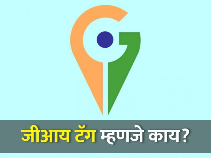 What is a GI tag that provides worldwide regional identification? How is it given? | जगभरात प्रादेशिक ओळख मिळवून देणारा जीआय टॅग म्हणजे काय? कसा दिला जातो?