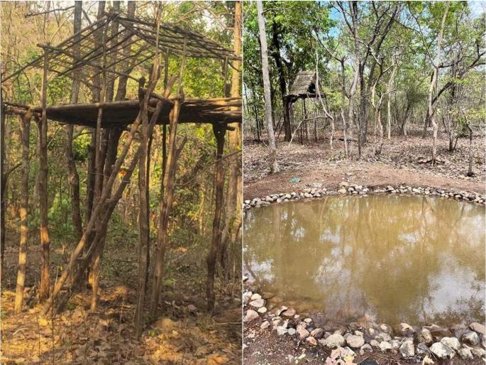 Today, the wild animals of Ambabarwa Sanctuary will actually come down on paper | आज अंबाबरवा अभयारण्यातील वन्यप्राणी प्रत्यक्षात कागदावर उतरणार Today, the wild animals of Ambabarwa Sanctuary will actually come down on paper | आज अंबाबरवा अभयारण्यातील वन्यप्राणी प्रत्यक्षात कागदावर उतरणार