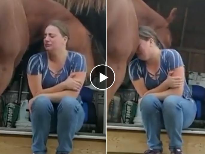 Horse consoling Crying lady in emotional viral Video : A horse supported the weeping mistress by holding her close; Emotional viral video | रडणाऱ्या मालकीणीचे घोड्याने केले सांत्वन, असा दिला आधार; इमोशनल व्हायरल व्हिडिओ