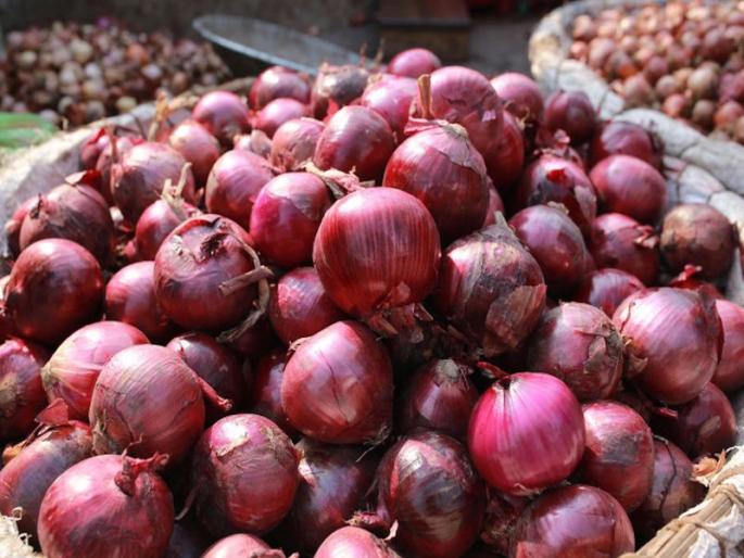 Good News: Onion Rs 25 kg; Discount sales from NAFED in Mumbai, Thane, Kalyan-Dombivli | गुड न्यूज: कांदा २५ रुपये किलो; मुंबई, ठाणे, कल्याण-डोंबिवलीत नाफेडकडून सवलतीत विक्री Good News: Onion Rs 25 kg; Discount sales from NAFED in Mumbai, Thane, Kalyan-Dombivli | गुड न्यूज: कांदा २५ रुपये किलो; मुंबई, ठाणे, कल्याण-डोंबिवलीत नाफेडकडून सवलतीत विक्री
