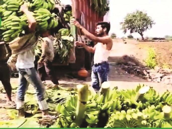 Time of wage labor on National Child Bravery Award-winning Ejaz Nadaf; The dream of going to the police while filling a banana cart | बालशौर्य पुरस्कारप्राप्त एजाजवर मोलमजुरीची वेळ; केळीच्या गाड्या भरताना खाकीवर्दीचे स्वप्न Time of wage labor on National Child Bravery Award-winning Ejaz Nadaf; The dream of going to the police while filling a banana cart | बालशौर्य पुरस्कारप्राप्त एजाजवर मोलमजुरीची वेळ; केळीच्या गाड्या भरताना खाकीवर्दीचे स्वप्न