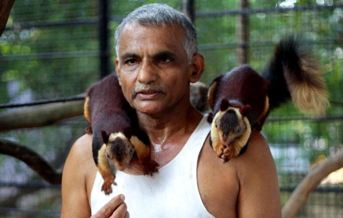 Don't leave pets due to fear of corona | Corona Virus in Gadchiroli; कोरोनाच्या धास्तीपायी पाळीव प्राण्यांना वाऱ्यावर सोडून देऊ नका Don't leave pets due to fear of corona | Corona Virus in Gadchiroli; कोरोनाच्या धास्तीपायी पाळीव प्राण्यांना वाऱ्यावर सोडून देऊ नका