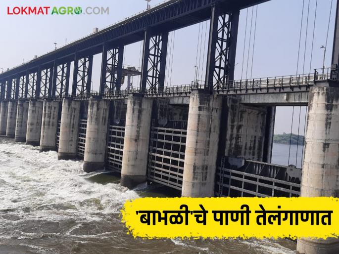 Babli project: Babli Barrage gates to release 0.6 tmc ft water to Telangana yesterday | Babli project: बाभळी बंधाऱ्याचे पाणी गेले तेलंगणात; आता किती पाणीसाठा शिल्लक वाचा सविस्तर Babli project: Babli Barrage gates to release 0.6 tmc ft water to Telangana yesterday | Babli project: बाभळी बंधाऱ्याचे पाणी गेले तेलंगणात; आता किती पाणीसाठा शिल्लक वाचा सविस्तर