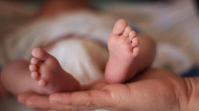 Unmarried government employees are eligible for childcare | अविवाहित सरकारी कर्मचारी अपत्य संगोपन रजेस पात्र Unmarried government employees are eligible for childcare | अविवाहित सरकारी कर्मचारी अपत्य संगोपन रजेस पात्र