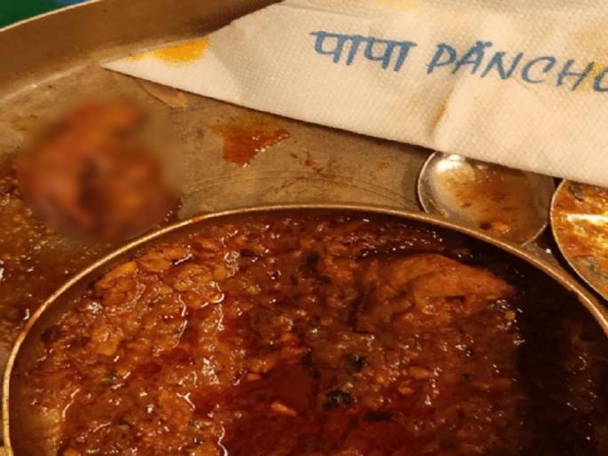 ordered a non vegetarian plate in the hotel found a baby mouse | हॉटेलमध्ये मागवली मांसाहारी थाळी, त्यात सापडले उंदराचे पिल्लू! ordered a non vegetarian plate in the hotel found a baby mouse | हॉटेलमध्ये मागवली मांसाहारी थाळी, त्यात सापडले उंदराचे पिल्लू!