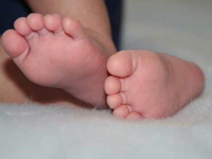 Shocking! Death of a reckless newborn baby girl due to dogs bite | धक्कादायक ! कुत्र्यांनी लचके तोडल्याने बेवारस नवजात नकुशीचा मृत्यू Shocking! Death of a reckless newborn baby girl due to dogs bite | धक्कादायक ! कुत्र्यांनी लचके तोडल्याने बेवारस नवजात नकुशीचा मृत्यू