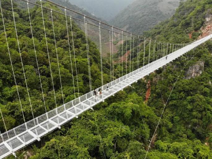 Bach Long Bridge: The longest glass bridge in the world, Vietnam | जगातील सर्वात लांब काचेचा पूल, इथं जाणं एखाद्या अॅडव्हेंचरपेक्षा कमी नाही Bach Long Bridge: The longest glass bridge in the world, Vietnam | जगातील सर्वात लांब काचेचा पूल, इथं जाणं एखाद्या अॅडव्हेंचरपेक्षा कमी नाही