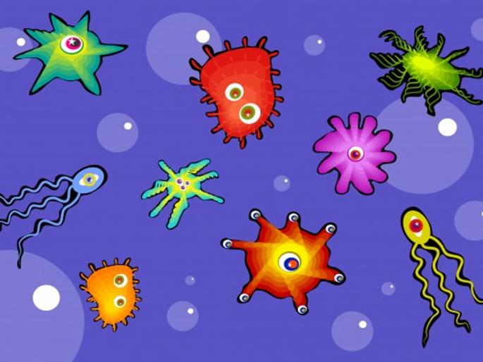 Everyone has 'own bacterial cloud' | प्रत्येकाचा असतो 'स्वत:चा असा जंतूंचा ढग'  Everyone has 'own bacterial cloud' | प्रत्येकाचा असतो 'स्वत:चा असा जंतूंचा ढग'