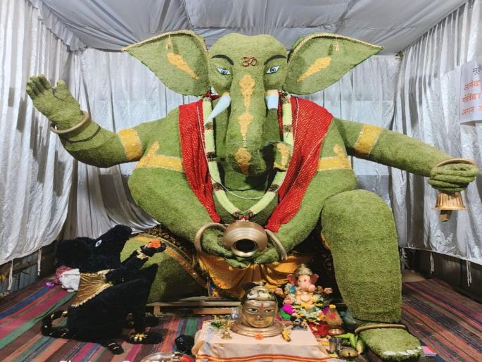 12 feet Ganapati of 150 kg fennel; Where to take darshan in Chhatrapati Sambhajinagar? | १५० किलो बडीशेपचा १२ फुटी गणपती; छत्रपती संभाजीनगरात कुठे घेणार दर्शन? 12 feet Ganapati of 150 kg fennel; Where to take darshan in Chhatrapati Sambhajinagar? | १५० किलो बडीशेपचा १२ फुटी गणपती; छत्रपती संभाजीनगरात कुठे घेणार दर्शन?