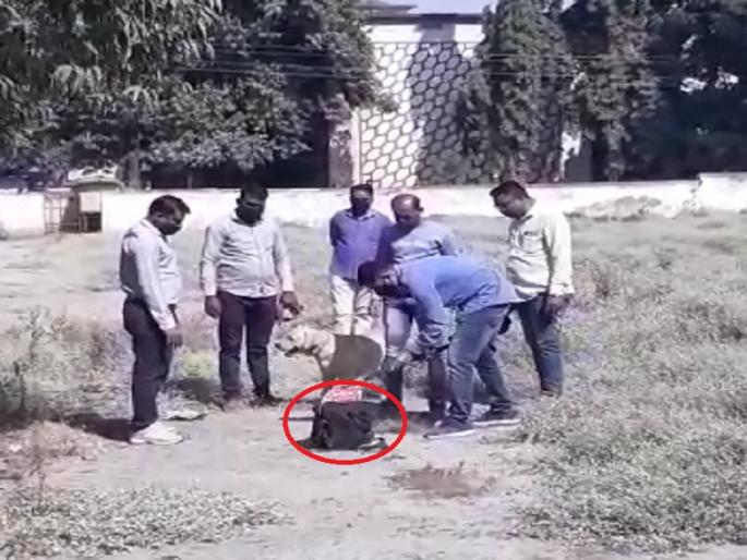 Citizens broke out in sweat due to unattended bags in Patrakar Bhavan area | पत्रकार भवन परिसरातील बेवारस बॅगमुळे नागरिकांना फुटला घाम