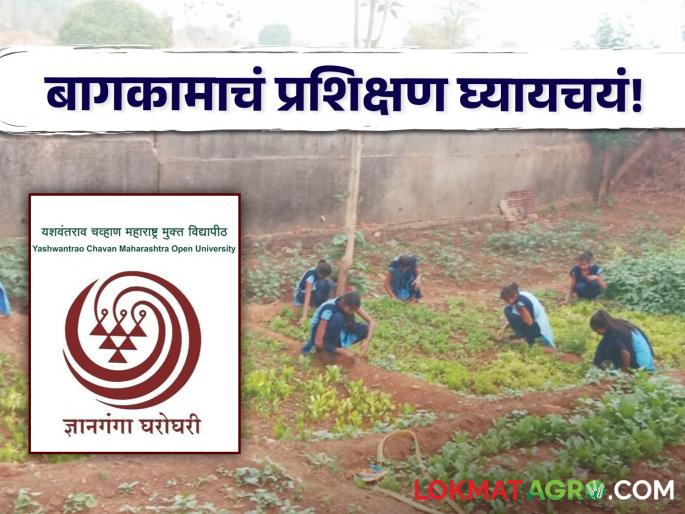 Latest News nashik Open University Gardener Certificate Course Admission Process started | Gardening Training : दहावी नापास आहात, बागकामाची आवड आहे, 'हा' अभ्यासक्रम अतिशय उपयुक्त