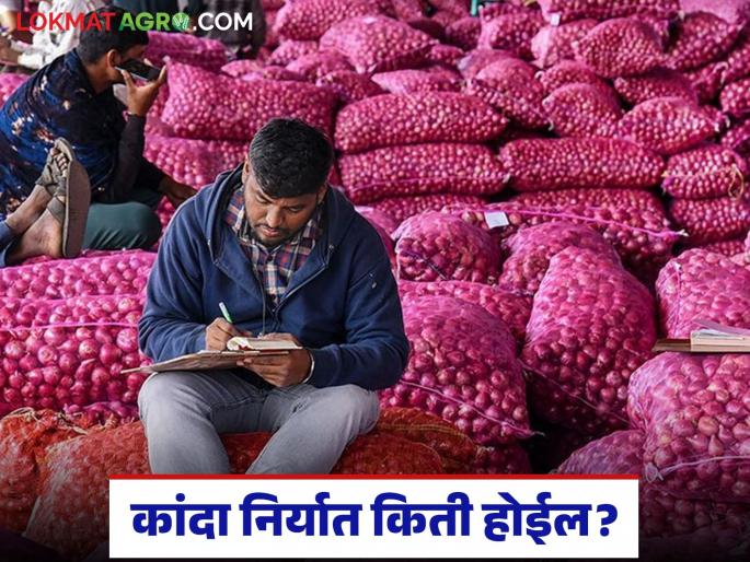 Latest news kanda niryat How many tonnes of onion will be exported daily after Bangladesh's decision | बांगलादेशच्या निर्णयानंतर दररोज किती टन कांदा निर्यात होईल, भाव काय मिळतील? Latest news kanda niryat How many tonnes of onion will be exported daily after Bangladesh's decision | बांगलादेशच्या निर्णयानंतर दररोज किती टन कांदा निर्यात होईल, भाव काय मिळतील?