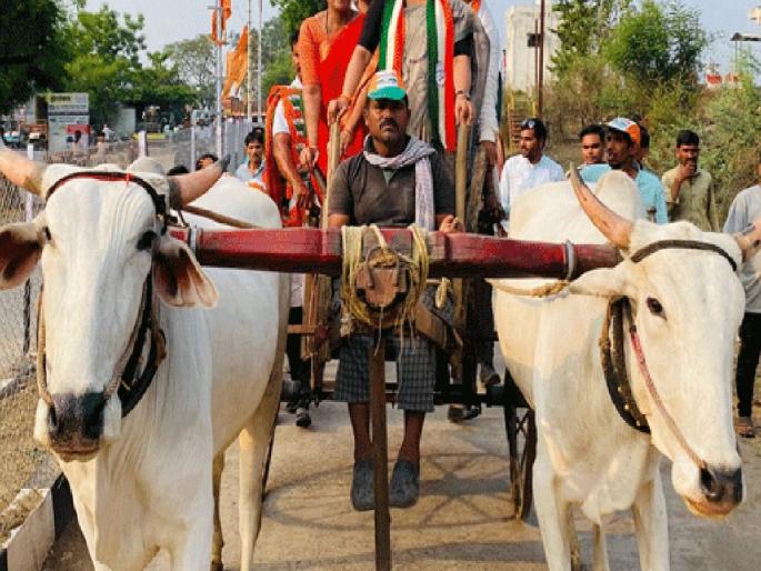 Maharashtra assembly vidhan sabha election 2024 then campaigning will have to be done by bullock cart only; The rates of vehicles are fixed by the Election Department | ..तर बैलगाडीतूनच करावा लागणार प्रचार; निवडणूक विभागाने निश्चित केले वाहनांचे दर Maharashtra assembly vidhan sabha election 2024 then campaigning will have to be done by bullock cart only; The rates of vehicles are fixed by the Election Department | ..तर बैलगाडीतूनच करावा लागणार प्रचार; निवडणूक विभागाने निश्चित केले वाहनांचे दर