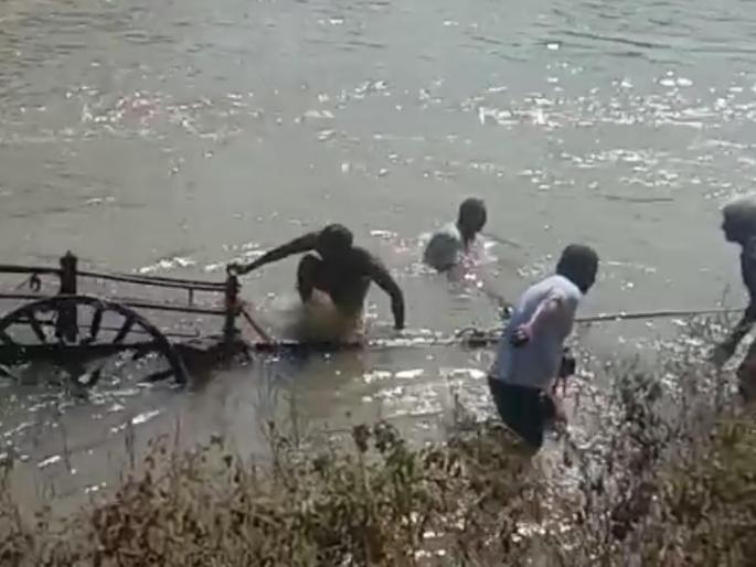 Bulocks Drowning in riverbed; The farmer rescues | नदीपात्रात बैलजोडीचा बुडून मृत्यू; शेतकरी बालंबाल बचावला Bulocks Drowning in riverbed; The farmer rescues | नदीपात्रात बैलजोडीचा बुडून मृत्यू; शेतकरी बालंबाल बचावला