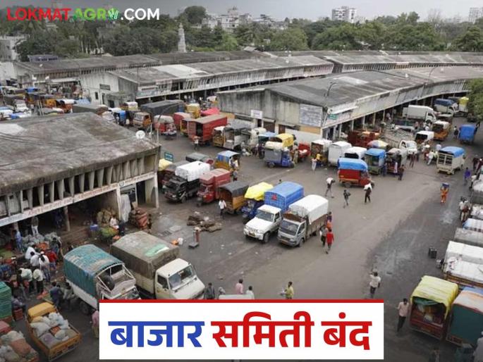 APMC Market: Purchase of agricultural produce in Khamgaon Agricultural Produce Market Committee closed due to 'this' reason | APMC Market: खामगाव कृषी उत्पन्न बाजार समितीत शेतमालाची 'या' कारणामुळे खरेदी बंद