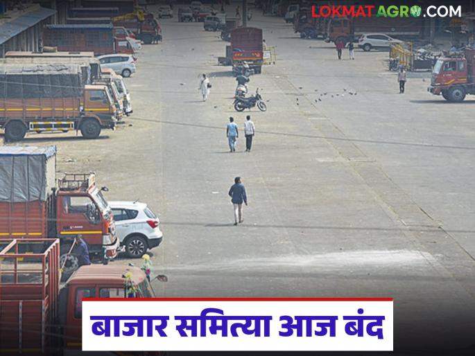 Market committees across Maharashtra will remain closed today; What is the reason? Read in detail | संपूर्ण महाराष्ट्रातील बाजार समित्या आज राहणार बंद; काय आहे कारण? वाचा सविस्तर