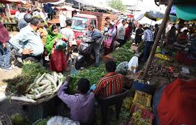 corona virus : rural youth are suffering in corona lock down in Maharashtra. | corona virus : आता जगायचं कसं ते सांगा? - खेड्यापाडयातलं तारुण्य कसली शिक्षा भोगतंय? corona virus : rural youth are suffering in corona lock down in Maharashtra. | corona virus : आता जगायचं कसं ते सांगा? - खेड्यापाडयातलं तारुण्य कसली शिक्षा भोगतंय?