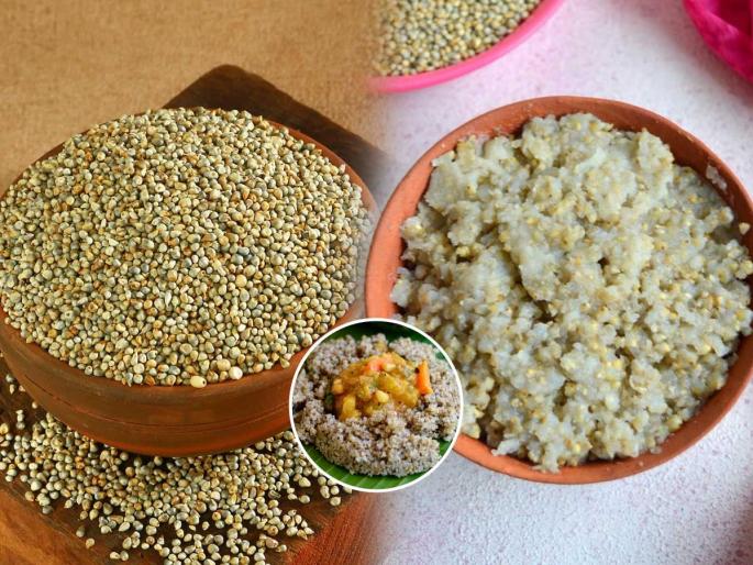 bajaricha bhat recipe, bajra khichadi recipe, traditional food in winter | बाजरीच्या खमंग भाताची रेसिपी! हिवाळ्यातला पारंपरिक मेन्यू- पचायला सोपा, चविष्ट आणि पौष्टिक.. bajaricha bhat recipe, bajra khichadi recipe, traditional food in winter | बाजरीच्या खमंग भाताची रेसिपी! हिवाळ्यातला पारंपरिक मेन्यू- पचायला सोपा, चविष्ट आणि पौष्टिक..