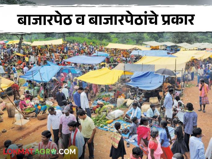 Markets and types of markets for agricultural produce and processed food | शेतमाल व प्रक्रियायुक्त पदार्थासाठी बाजारपेठ व बाजारपेठांचे प्रकार Markets and types of markets for agricultural produce and processed food | शेतमाल व प्रक्रियायुक्त पदार्थासाठी बाजारपेठ व बाजारपेठांचे प्रकार