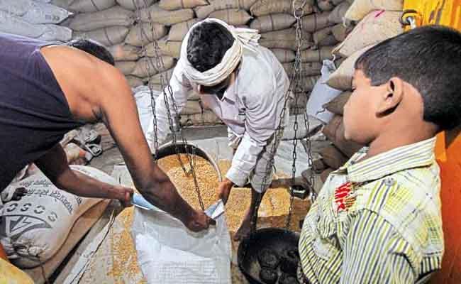 Ration card holders; If these things are not done, there will be no grain from February | रेशनकार्डधारकांनो; या गोष्टी न केल्यास फेब्रुवारीपासून धान्य मिळणार नाही Ration card holders; If these things are not done, there will be no grain from February | रेशनकार्डधारकांनो; या गोष्टी न केल्यास फेब्रुवारीपासून धान्य मिळणार नाही