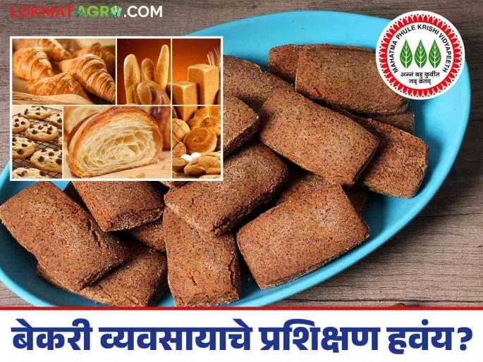 Bakery Business : Want to start a bakery business? Training is starting here; Read in detail | Bakery Business : बेकरी व्यवसाय सुरु करायचाय? ह्या ठिकाणी सुरु होतंय प्रशिक्षण; वाचा सविस्तर