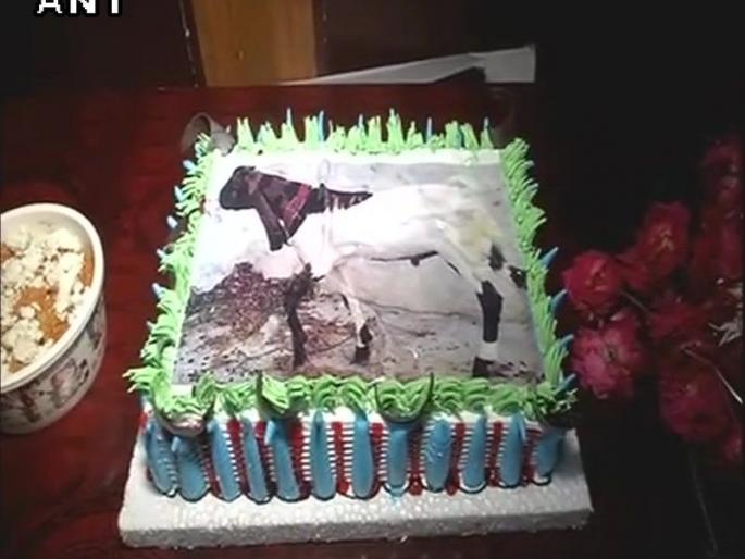 The Muslim National Forum celebrated Bakri Eid by cutting cake | मुस्लिम राष्ट्रीय मंचने बक-याऐवजी केक कापून साजरी केली बकरी ईद The Muslim National Forum celebrated Bakri Eid by cutting cake | मुस्लिम राष्ट्रीय मंचने बक-याऐवजी केक कापून साजरी केली बकरी ईद
