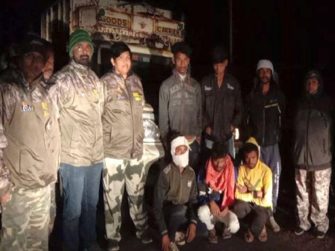 Illegal smuggling of bamboo trays by Sarpanch in Chandrapur; 3 bolero vehicle seized by Forest department | सरपंचानेचच केली बांबूच्या ताटव्यांची तस्करी; कारवाईत तीन बोलोरो वाहन जप्त Illegal smuggling of bamboo trays by Sarpanch in Chandrapur; 3 bolero vehicle seized by Forest department | सरपंचानेचच केली बांबूच्या ताटव्यांची तस्करी; कारवाईत तीन बोलोरो वाहन जप्त