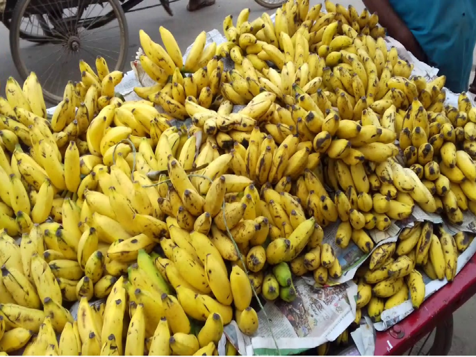 Make sure you don't eat powdered bananas while fasting. | खात्री करून घ्या, उपवासाला पावडरने पिकवलेली केळी तुम्ही खात तर नाही ना ?
