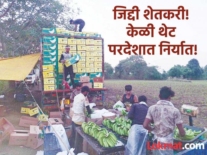 'Work speaks!' Young farmer from Chhatrapati Sambhajinagar delivers bananas to Iran; Price '800 rupees' | 'मेहनत बोलली!' छत्रपती संभाजीनगरच्या शेतकऱ्याने इराणपर्यंत पोहोचवली केळी, भावही तगडा!