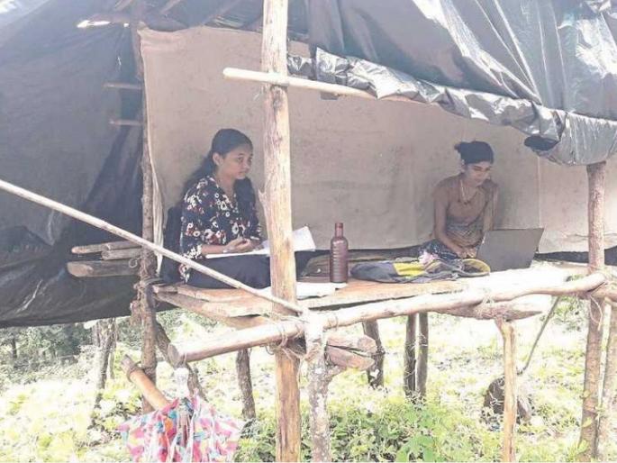 no range in the village, 'they' built huts in the forest; Struggling for education and jobs | गावात रेंज नसल्यानं 'त्या' दोघींनी जंगलात बांधली झोपडी; शिक्षण अन् नोकरीसाठी धडपड no range in the village, 'they' built huts in the forest; Struggling for education and jobs | गावात रेंज नसल्यानं 'त्या' दोघींनी जंगलात बांधली झोपडी; शिक्षण अन् नोकरीसाठी धडपड