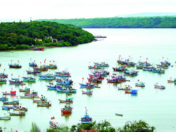 Hundreds of boats were stranded in Devgad due to south winds | दक्षिण वाऱ्यामुळे देवगडात शेकडो नौका स्थिरावल्या Hundreds of boats were stranded in Devgad due to south winds | दक्षिण वाऱ्यामुळे देवगडात शेकडो नौका स्थिरावल्या