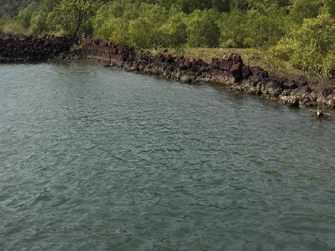 Dead body found in Sindhudurg-Banda Terekhol river | Sindhudurg- बांदा तेरेखोल नदी पात्रात आढळला मृतदेह, उडाली एकच खळबळ Dead body found in Sindhudurg-Banda Terekhol river | Sindhudurg- बांदा तेरेखोल नदी पात्रात आढळला मृतदेह, उडाली एकच खळबळ