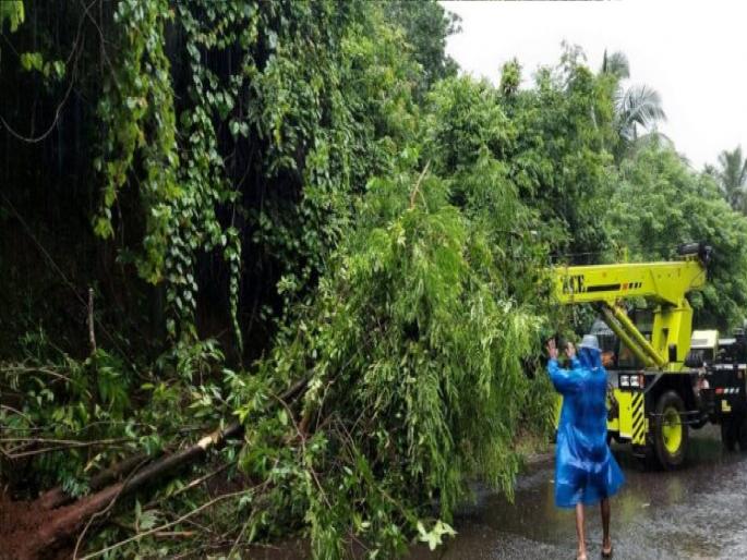 Trees fell on Banda Dodamarg state highway, disrupting traffic | बांदा-दोडामार्ग राज्य मार्गावर झाड कोसळले, वाहतूक विस्कळीत Trees fell on Banda Dodamarg state highway, disrupting traffic | बांदा-दोडामार्ग राज्य मार्गावर झाड कोसळले, वाहतूक विस्कळीत