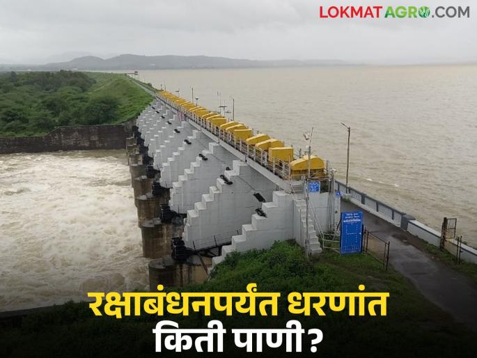 Latest News Maharashtra Dam Water level today Water storage in dams of maharashtra on raksha bandhan | Maharashtra Dam : रक्षाबंधनपर्यंत राज्यातील प्रमुख धरणं किती टक्के भरली, वाचा सविस्तर Latest News Maharashtra Dam Water level today Water storage in dams of maharashtra on raksha bandhan | Maharashtra Dam : रक्षाबंधनपर्यंत राज्यातील प्रमुख धरणं किती टक्के भरली, वाचा सविस्तर