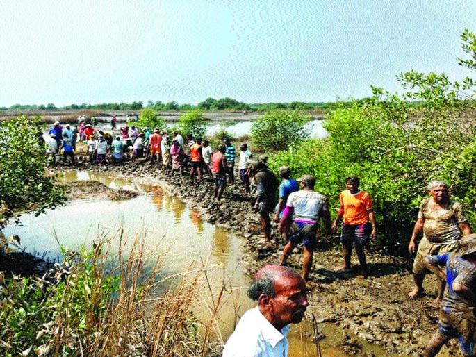 Work from the repair of the broken bonds | फुटलेल्या बंधा-यांच्या दुरुस्तीचे श्रमदानातून काम Work from the repair of the broken bonds | फुटलेल्या बंधा-यांच्या दुरुस्तीचे श्रमदानातून काम