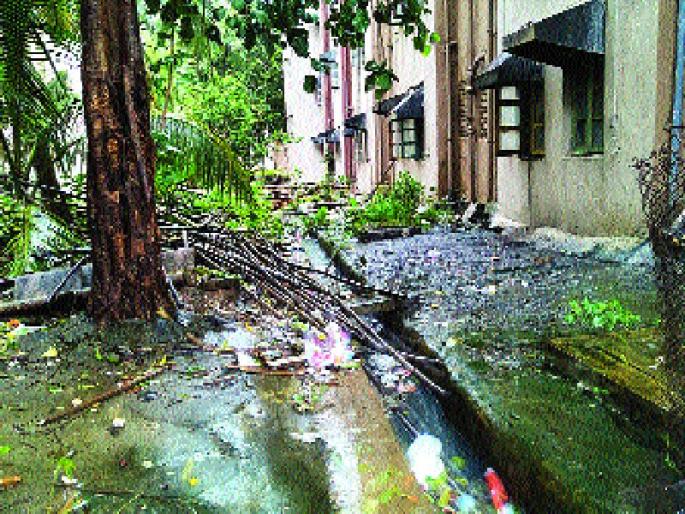 Empire of the government colonies, the health risk of the residents | शासकीय वसाहतीत घाणीचे साम्राज्य, रहिवाशांचे आरोग्य धोक्यात Empire of the government colonies, the health risk of the residents | शासकीय वसाहतीत घाणीचे साम्राज्य, रहिवाशांचे आरोग्य धोक्यात