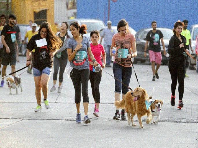 'Pattathon' in Bandra-Kurla Complex | वांद्रे-कुर्ला संकुलात रंगली ‘पेटॅथॉन’ 'Pattathon' in Bandra-Kurla Complex | वांद्रे-कुर्ला संकुलात रंगली ‘पेटॅथॉन’