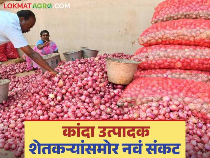 Latest News kanda issue Bangladesh's decision to levy 10 percent duty on onion import Read in detail | Onion Issue : बांग्लादेशच्या निर्णयाचा भारतीय कांद्याला फटका बसणार का? वाचा सविस्तर Latest News kanda issue Bangladesh's decision to levy 10 percent duty on onion import Read in detail | Onion Issue : बांग्लादेशच्या निर्णयाचा भारतीय कांद्याला फटका बसणार का? वाचा सविस्तर