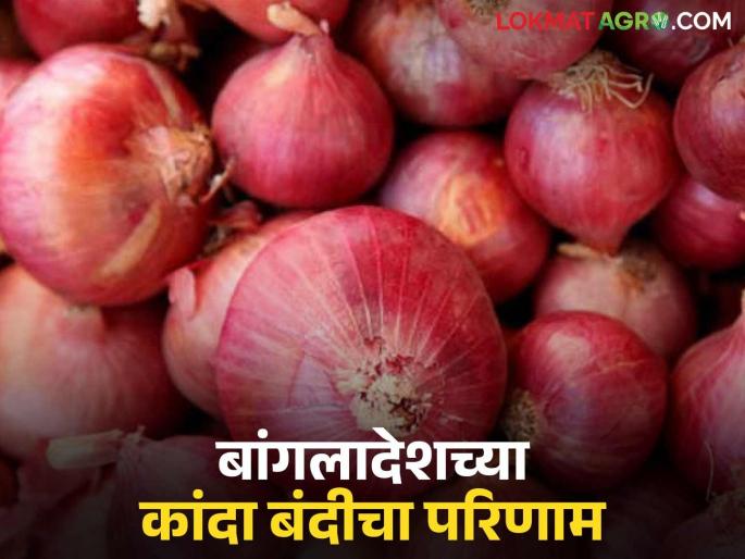Who benefits from Bangladesh's ban; Will onion producers be hit this year too? Read in detail | बांगलादेशच्या बंदीचा फायदा कुणाला; कांदा उत्पादकांना यंदाही बसणार का फटका? वाचा सविस्तर