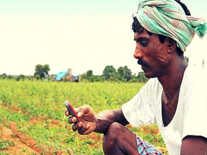 7902 farmers' credit accounts validated! | ७,९०२ शेतकऱ्यांच्या कर्जखात्यांचे प्रमाणीकरण! 7902 farmers' credit accounts validated! | ७,९०२ शेतकऱ्यांच्या कर्जखात्यांचे प्रमाणीकरण!