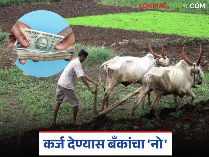 Bank Loan: latest news Why are banks reluctant to give loans to farmers; What is the reason? Read in detail | Bank Loan : शेतकऱ्यांना कर्ज देण्यास का आहेत बँका उदासीन; काय आहे कारण वाचा सविस्तर Bank Loan: latest news Why are banks reluctant to give loans to farmers; What is the reason? Read in detail | Bank Loan : शेतकऱ्यांना कर्ज देण्यास का आहेत बँका उदासीन; काय आहे कारण वाचा सविस्तर